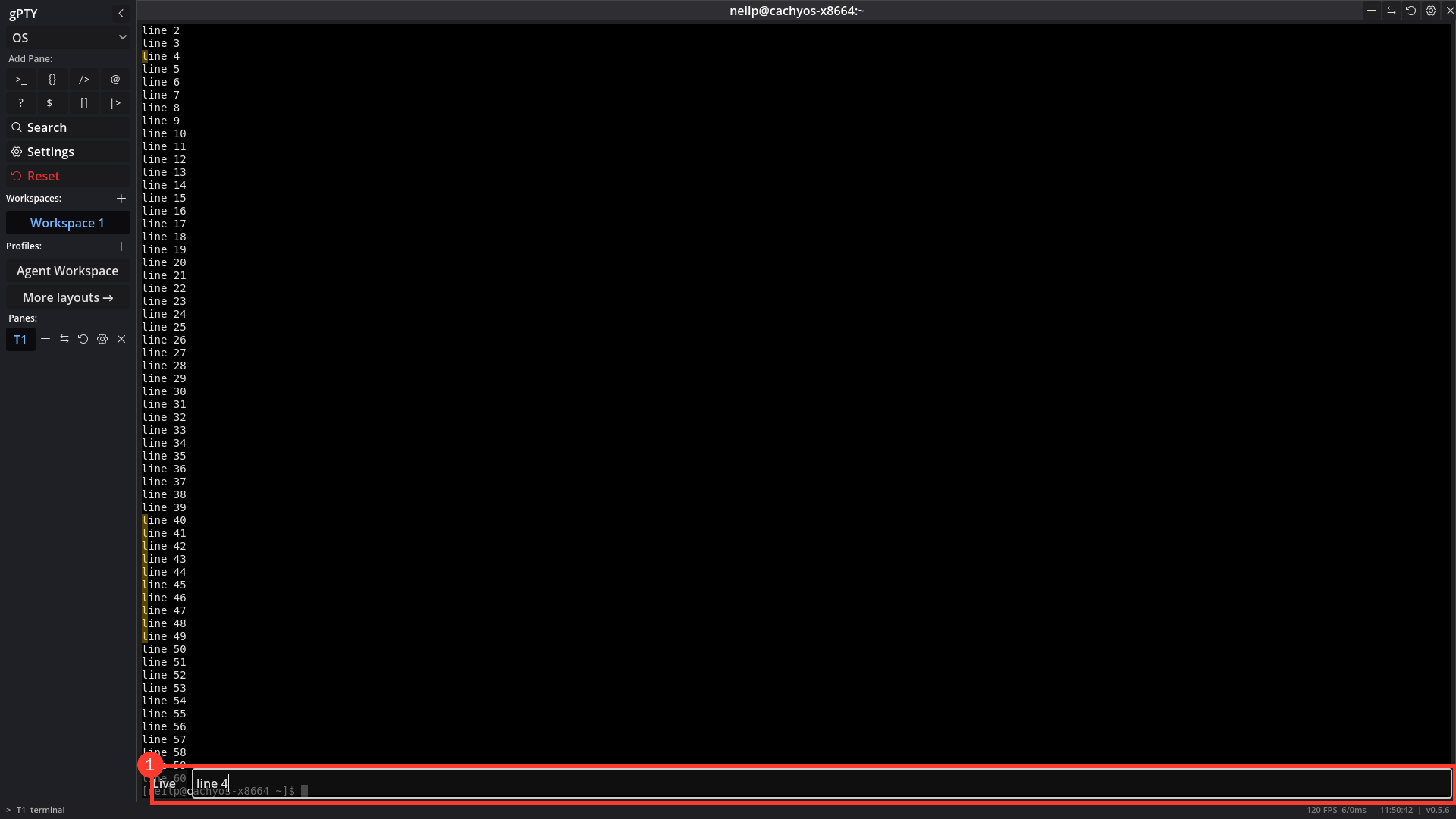 The terminal search strip on v0.5.6