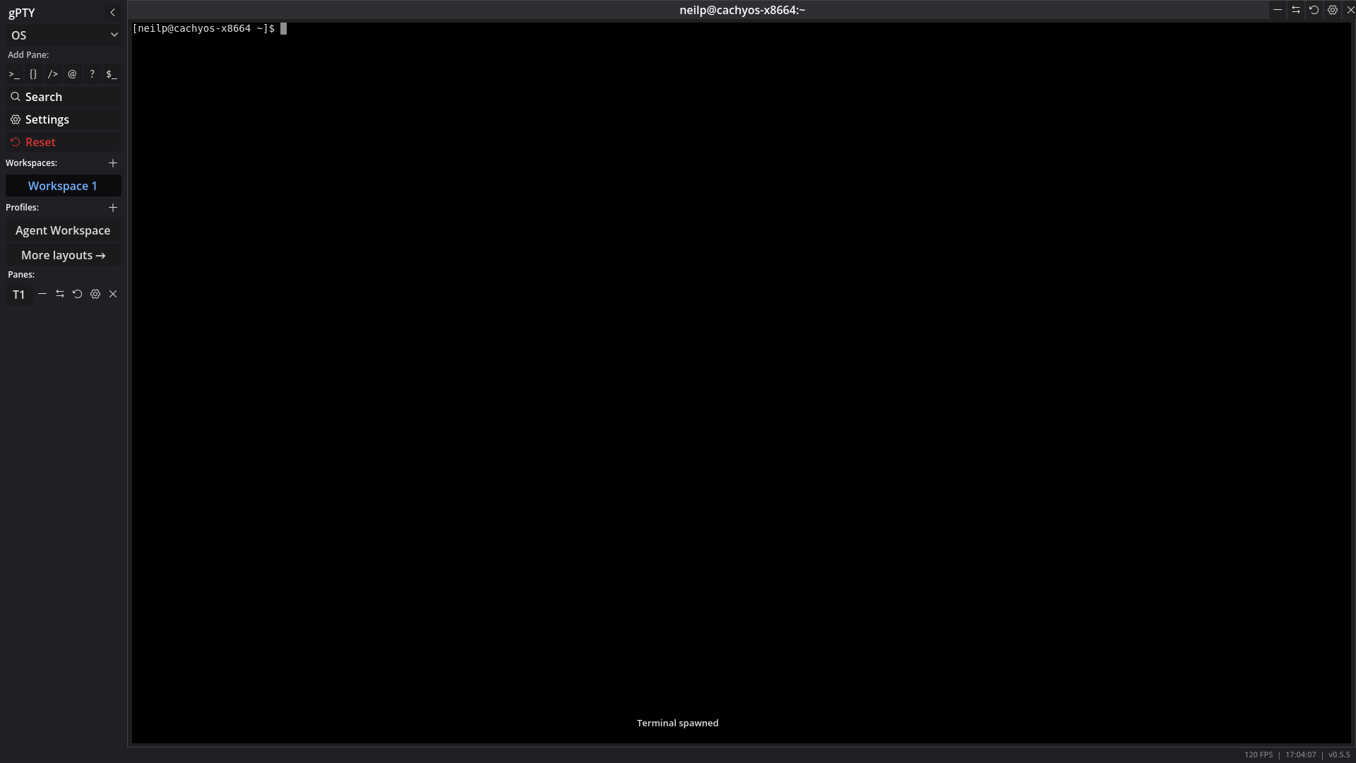 gPTY v0.5.5