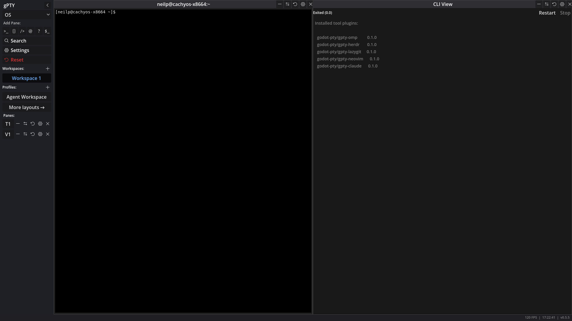 A cli_view pane: a program’s argv output streamed into the pane body, with the exit reported like a terminal’s
