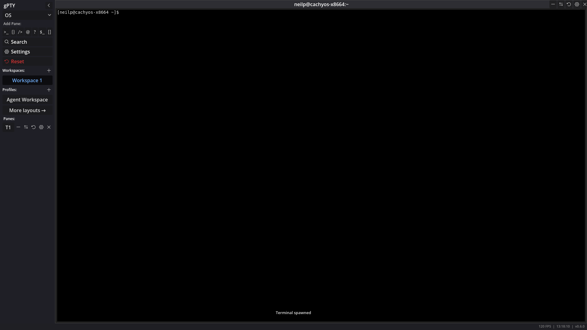 gPTY v0.6.0