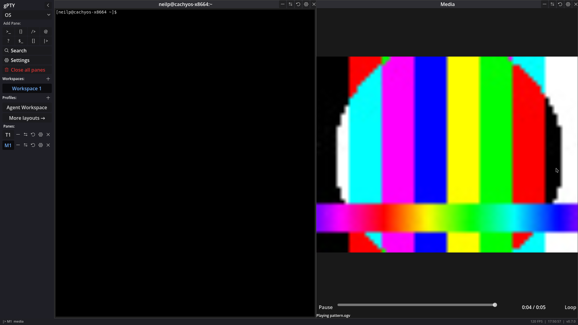 The media pane playing the test pattern